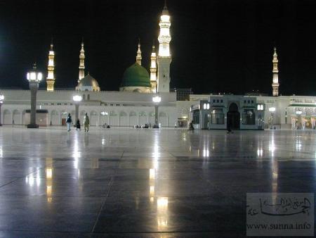 ��� ������ ������